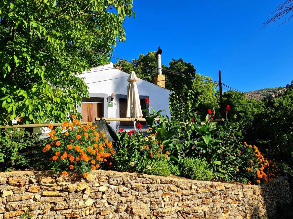 Casas Rurales Los Enebros Nerpio Exteriér fotografie