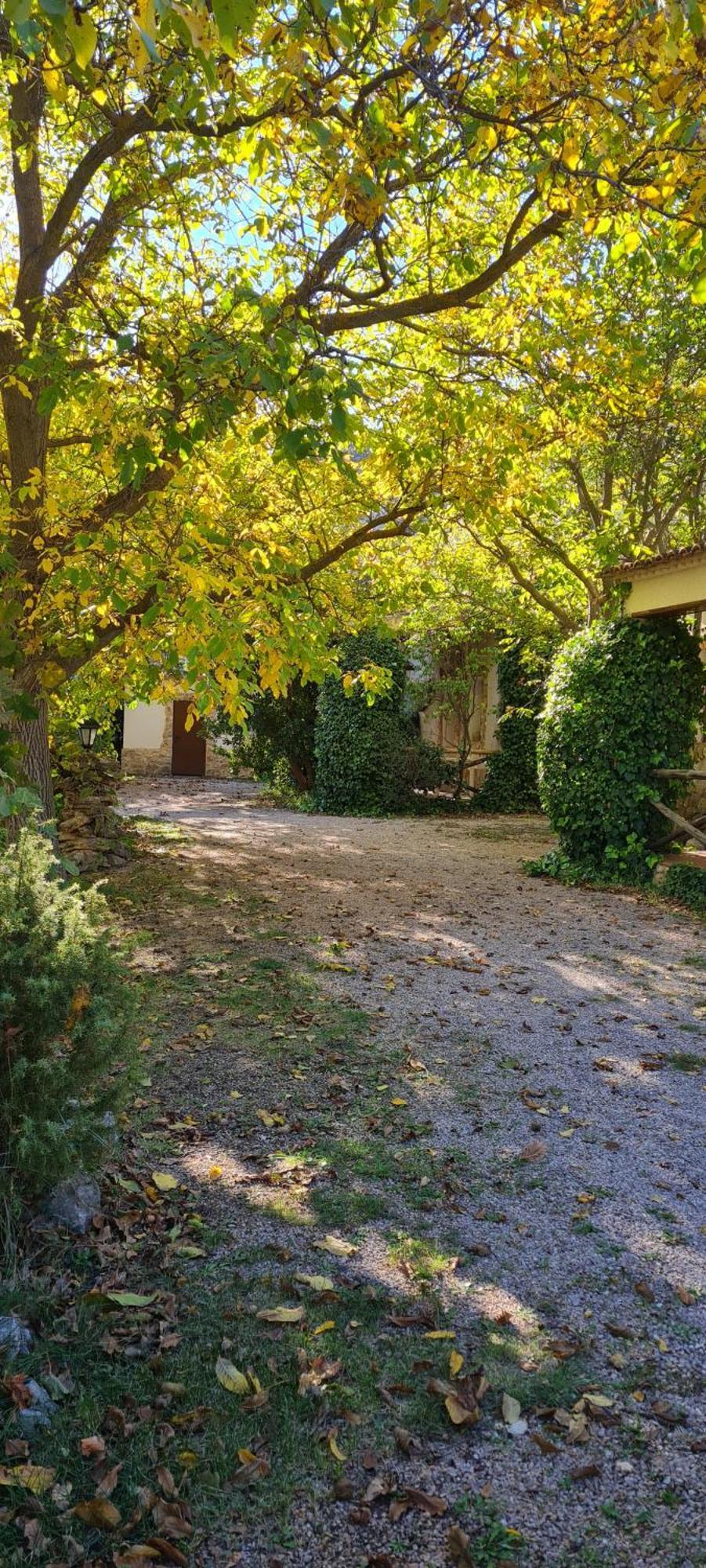 Casas Rurales Los Enebros Nerpio Exteriér fotografie