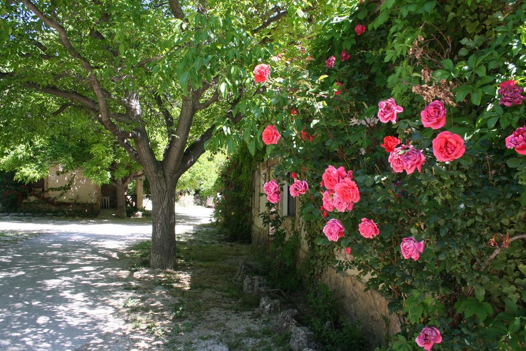 Casas Rurales Los Enebros Nerpio Exteriér fotografie