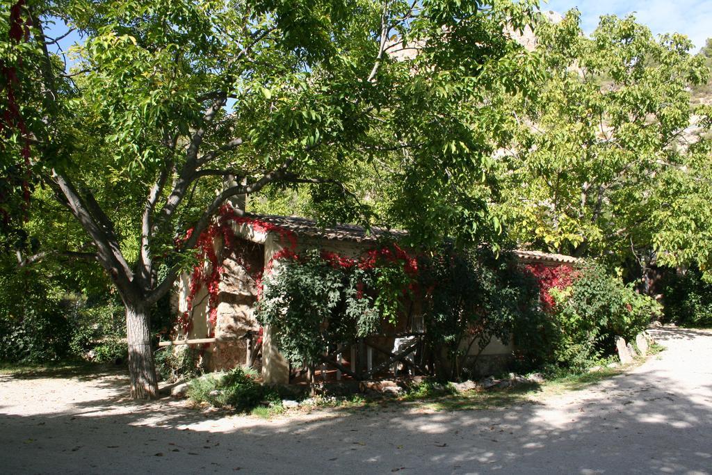 Casas Rurales Los Enebros Nerpio Exteriér fotografie