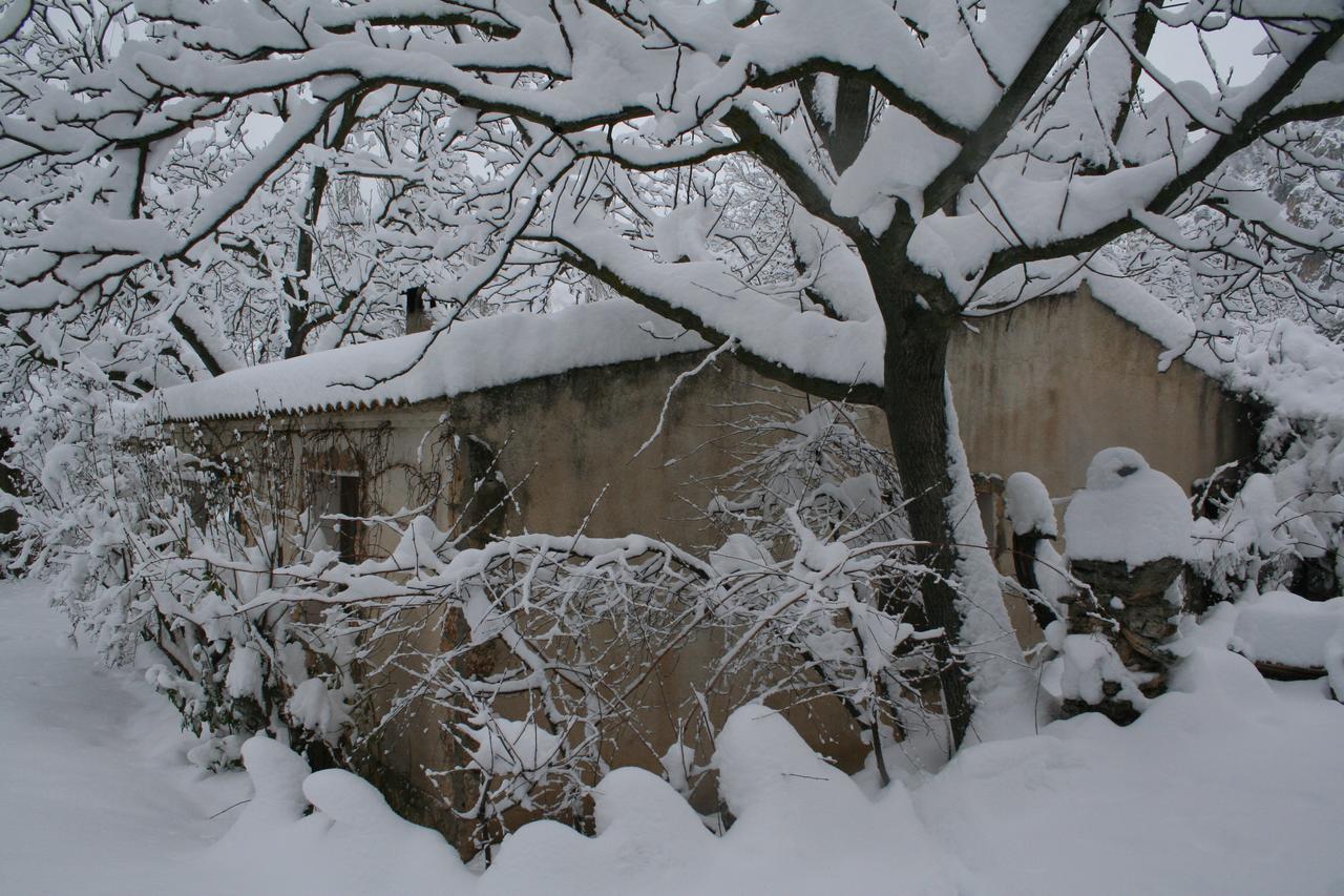 Casas Rurales Los Enebros Nerpio Exteriér fotografie