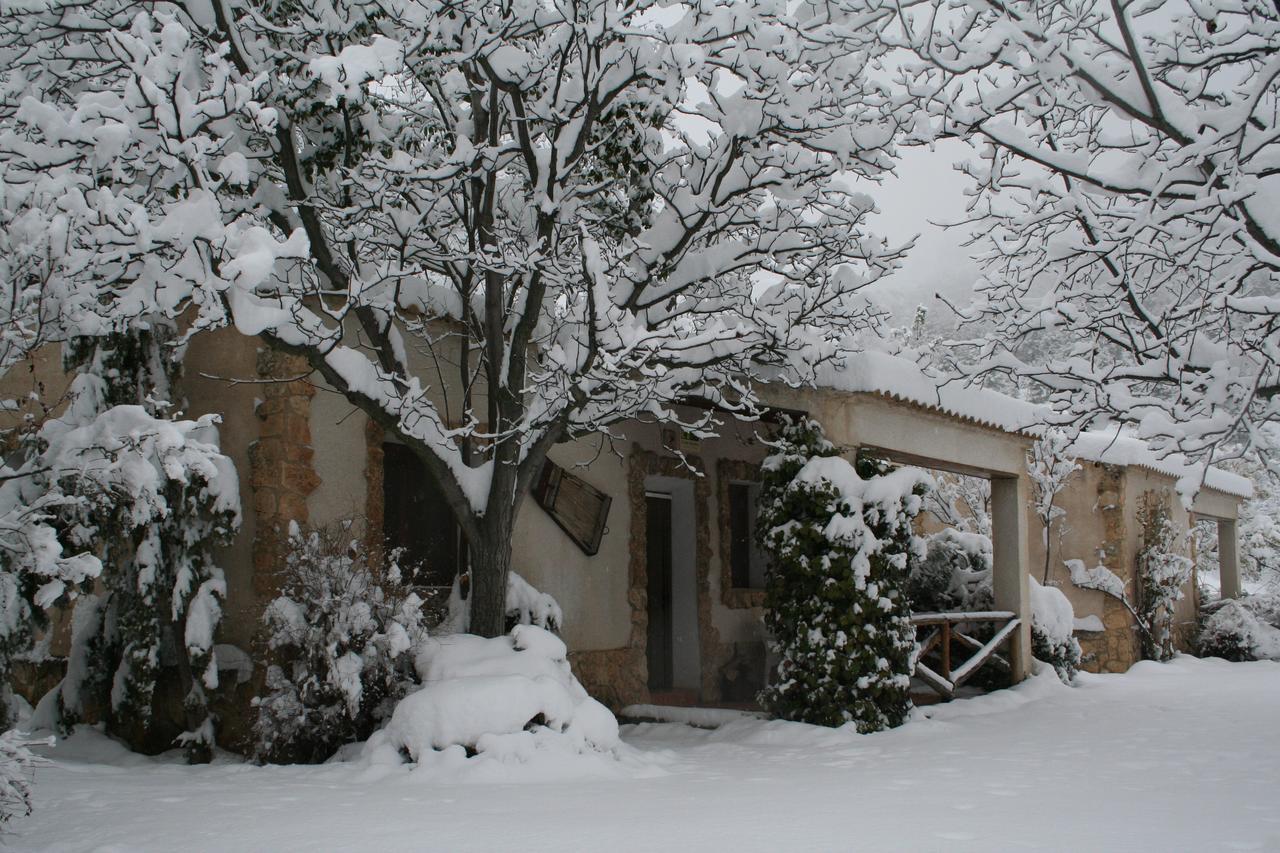 Casas Rurales Los Enebros Nerpio Exteriér fotografie